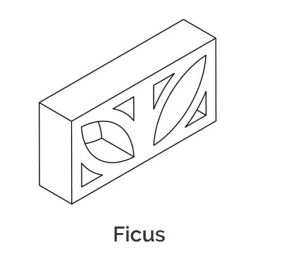 Ficus