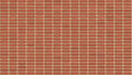 Red Smooth Tumbled