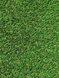 Residential Turf